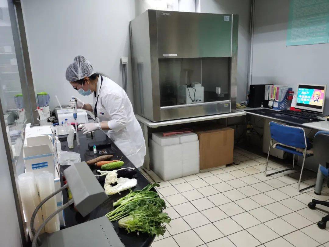 武乡食品检测实验室装修方案